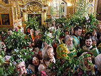 В праздник Святой Троицы (Пятидесятницы) митрополит Орловский и Болховский Антоний совершил Литургию в Ахтырском кафедральном соборе Орла. 19 июня 2016 г.