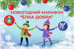 Добровольцы Орловской митрополии участвуют в марафоне «Елка добра» 